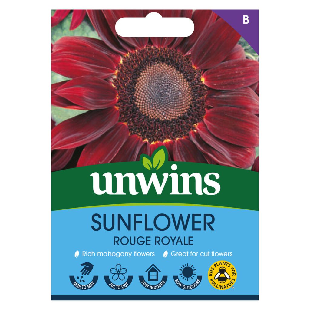 Unwins Sunflower Rouge Royale Seeds 5051618033145 2